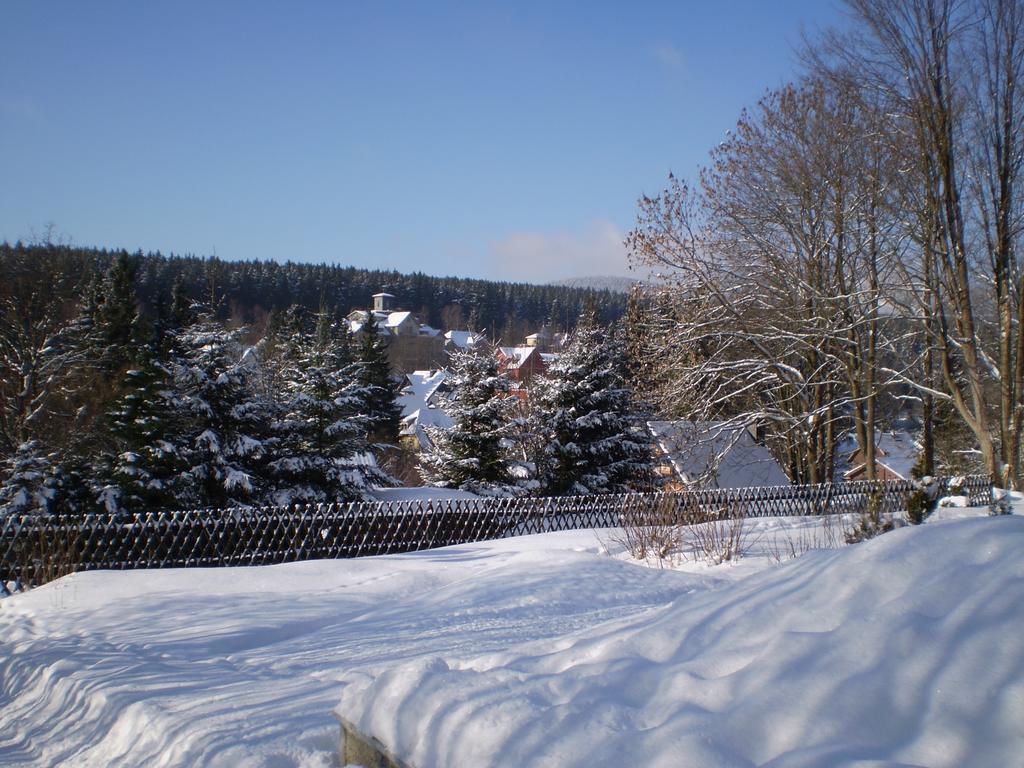 Ferienhaus Harzidyll Schierke Δωμάτιο φωτογραφία